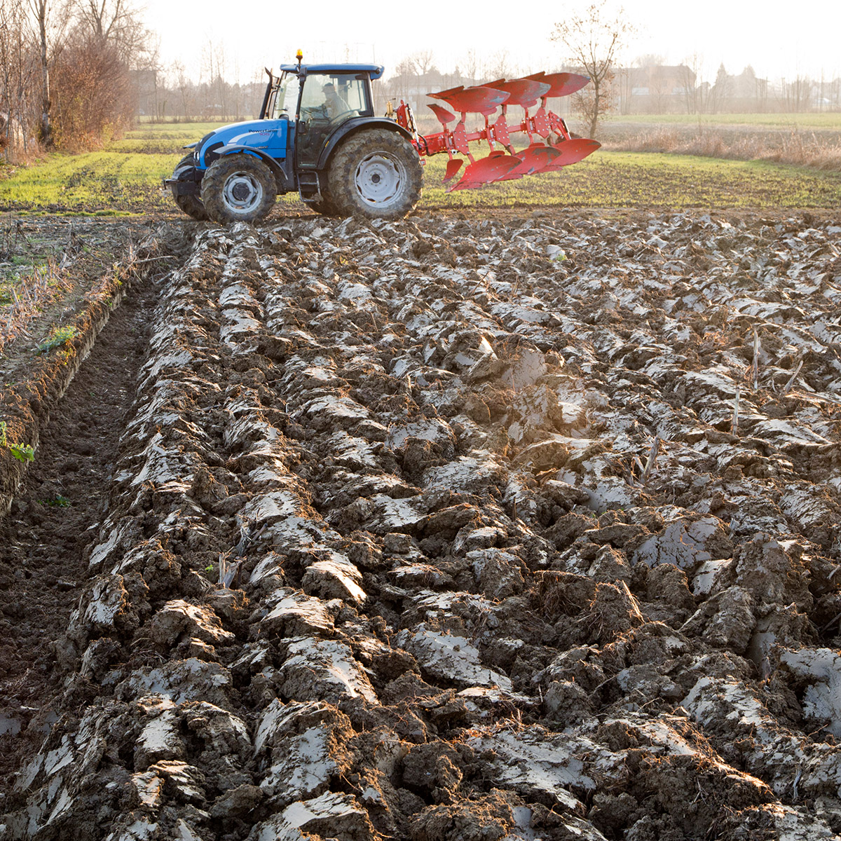 Charrue à versoirs – Maschio Gaspardo