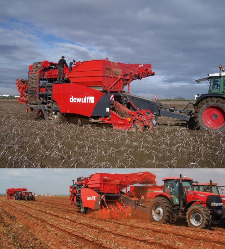 Planteuse à courroies à 2 rangs portée ou traînée